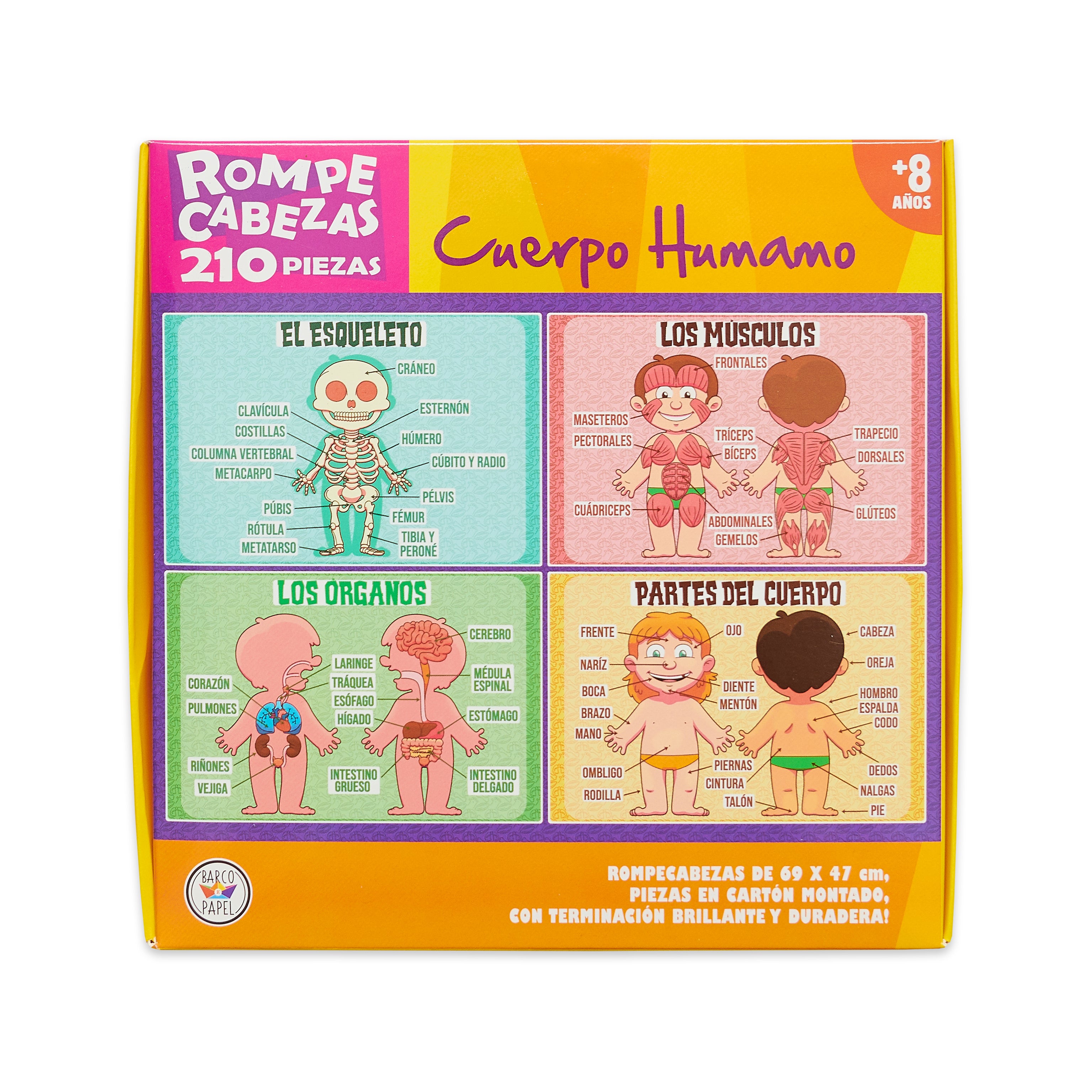 Cuerpo Humano - Rompecabezas de 210 piezas Cuerpo Humano - Rompecabezas de 210 piezas